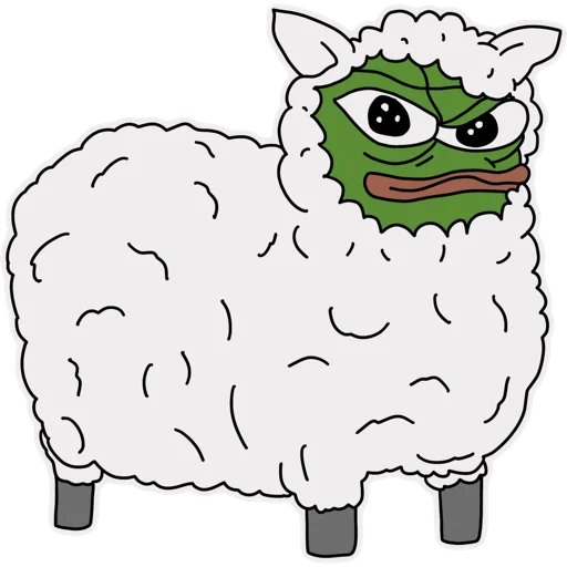 Sheep